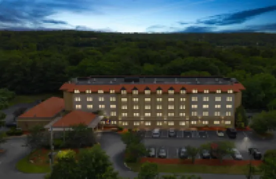 舒適套房酒店-近