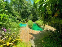 La Shamana - Ecological Concept in Jungle - piscine