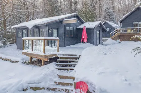 Kuro at Paint Lake, Lake of Bays, Muskoka