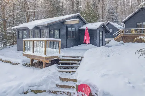 Kuro at Paint Lake, Lake of Bays, Muskoka