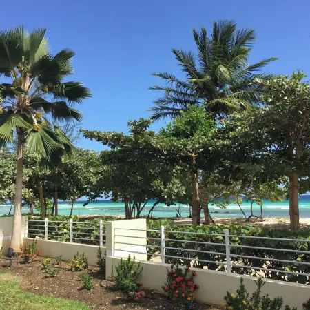 Palm Beach - Tropical Paradise on the Beach