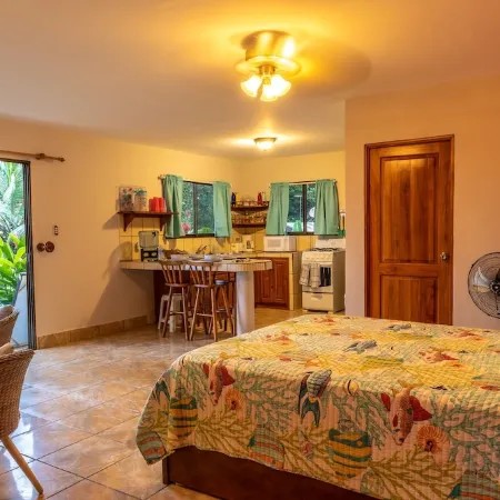 Exotic Iguana Apartmentos 1