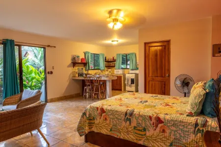 Exotic Iguana Apartmentos 1