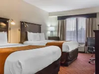 Comfort Inn & Suites LaGuardia Airport Hotels near Elmhurst