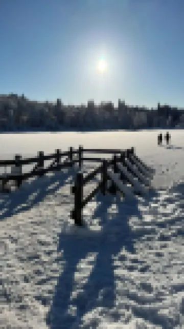 Sunny side apartment - central, flooded with light, quiet location, carport