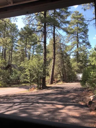 The Boxcar Tiny House