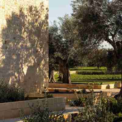 Masseria Tarsia Morisco Hotel Exterior