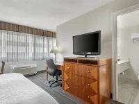 Best Western Plus Suites Downtown Hôtels à proximité de : Galerie Rubaiyat