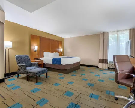 Comfort Suites Near Mcas Beaufort Hotels in Beaufort