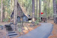 3 Mi to Calaveras Big Trees: Cabin w/ Fire Pit! - 3-stjärniga