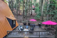 3 Mi to Calaveras Big Trees: Cabin w/ Fire Pit! - 3-stjärniga