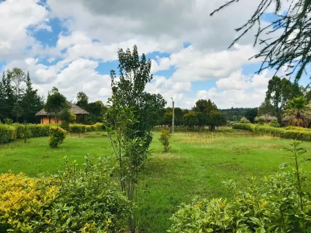 The Great Circle Lodge - Hostel