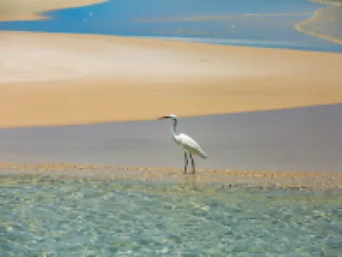 Vilanculos Beach Lodge Hotels in Vilankulo