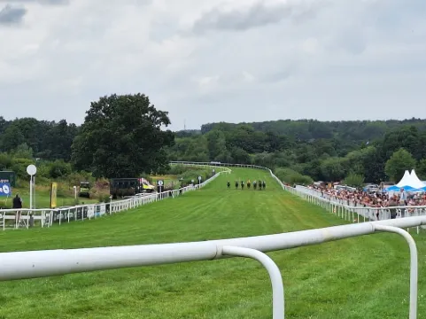 Fewo Berg-domizil Bad Harzburg mt Eigenem Kellerraum für Fahrräder Oder Skier