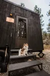 Postcard Cabins Wild Rose - 3-Star