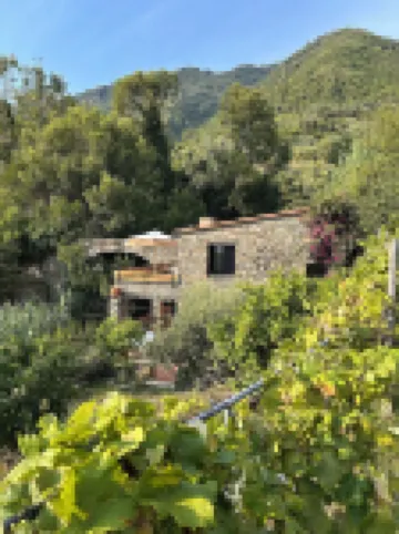 Villa Olive Mill Terra Rossa