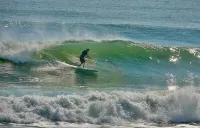Fabulous Oceanfront Find in Flagler Beach w/Shared Pool, WiFi, Central AC, W/D