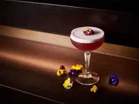 墨爾本格倫韋弗利諾富特酒店 - 酒吧
