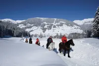 Apartment in Zillertal Near Ski Slopes