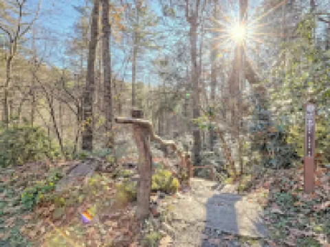 The Spotted Owl Hotels in Highlands