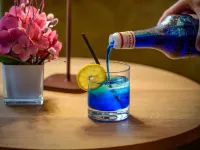 斯圖加特機場會展中心美居酒店 - 酒吧