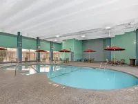 Best Western Holiday Lodge Hotels in Clear Lake