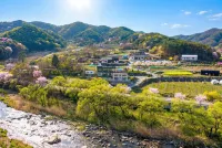 Danyang Wild Flower Garden Pension - Homestays
