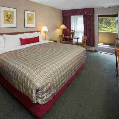 Marmot Lodge Jasper Rooms