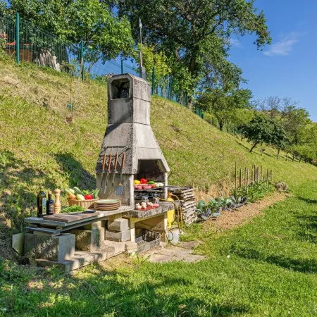 House Marija with BBQ & Garden - Happy Rentals Hotéis em Ptuj