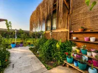 Izgen Bungalows Hotels near Chimera