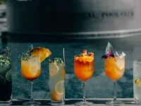 Botanical Pool Club - bar
