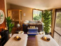 Casa Dives - Varianta Boierească - Spa