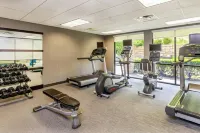 Courtyard by Marriott Oneonta Cooperstown Area - Træningscentre