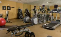 Hilton Garden Inn Atlanta Airport/Millennium Center - Phòng Gym