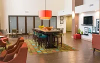 Hampton Inn & Suites by Hilton Dallas/Frisco North-Fieldhouse USA - 2-Star