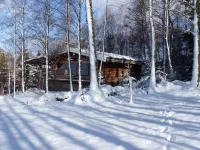 Unusual, secluded log cabin in the Vosges with luxury spa - 小木屋