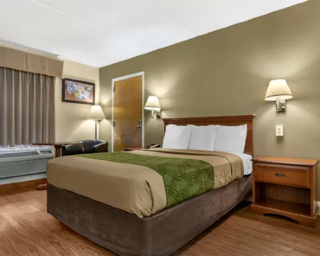 Econo Lodge Inn & Suites Hotels in Lugoff