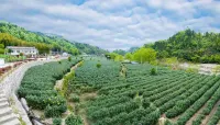 Yuexi Lvfuyuan Farm Stay