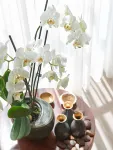 Hyatt Regency Baku - spa