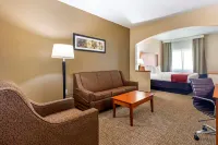 Comfort Suites North Dallas Hotels in Dallas