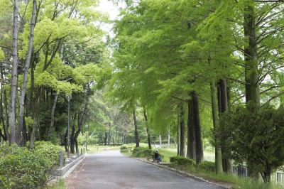 ホテル周辺 南千里クリスタルホテルの写真