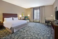 HIlton Garden Inn Detroit/Novi Hotels in Нові