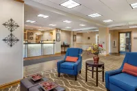 Comfort Inn Downtown - University Area Hôtels à : Kalamazoo
