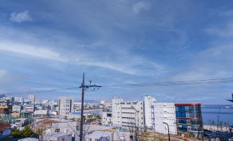 울산 일산 나무늘보