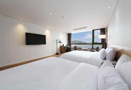 루벤스호텔 고양이