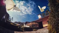 Rancho Coyotepec Hotels near Zacatlan de las manzanas