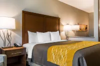 Comfort Inn & Suites Valdosta