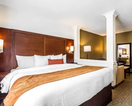 Comfort Suites Woodland - Sacramento Airport Отели в г. Йоло