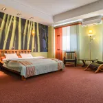 6-12-24 Aeroport Tolmachevo Hotel