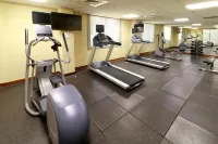 Holiday Inn TAMPICO ALTAMIRA by IHG - Gym